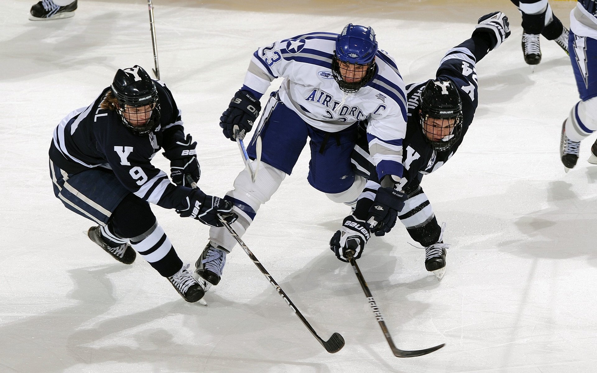 体育公益携手前行 爱心赛事点燃希望