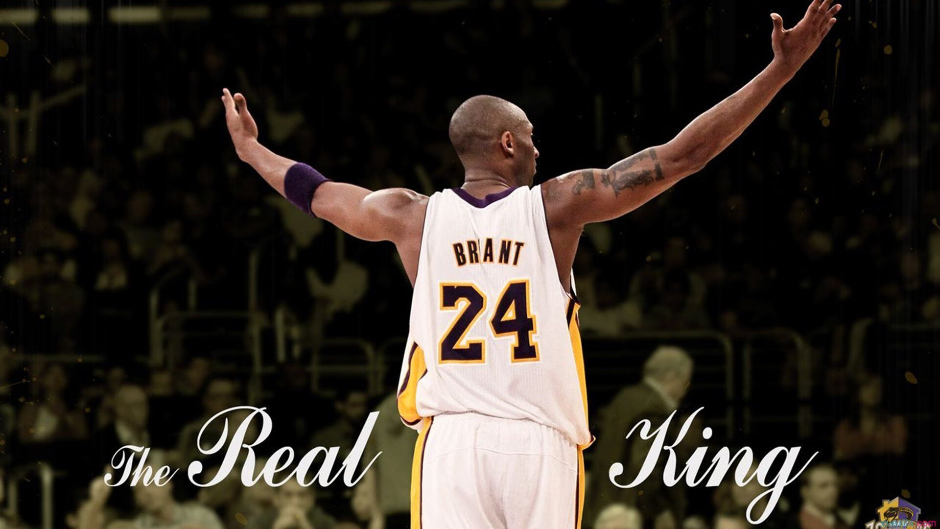 国际帆船赛圆满落幕 荷兰队逆风翻盘夺冠