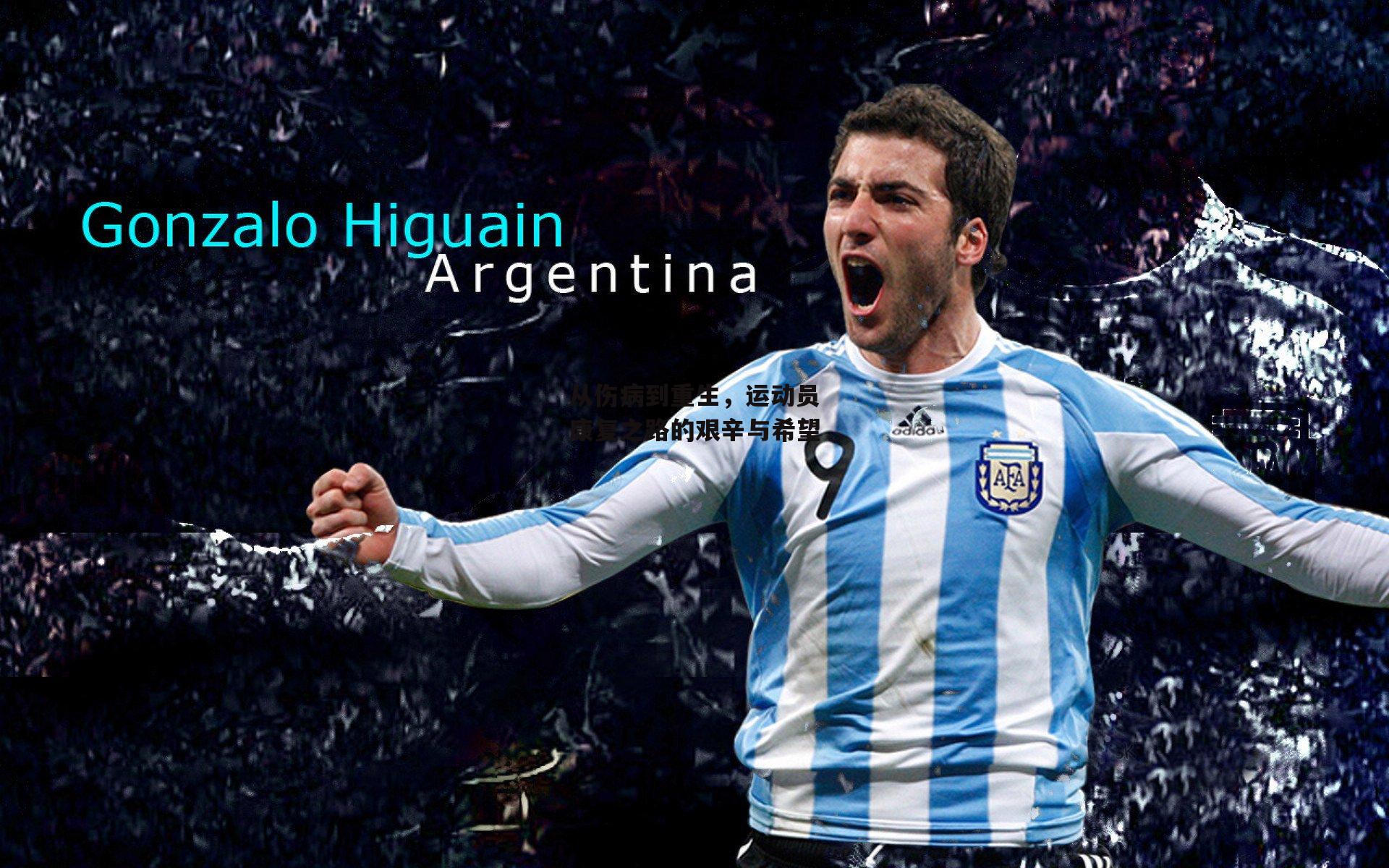 从伤病到重生，运动员康复之路的艰辛与希望