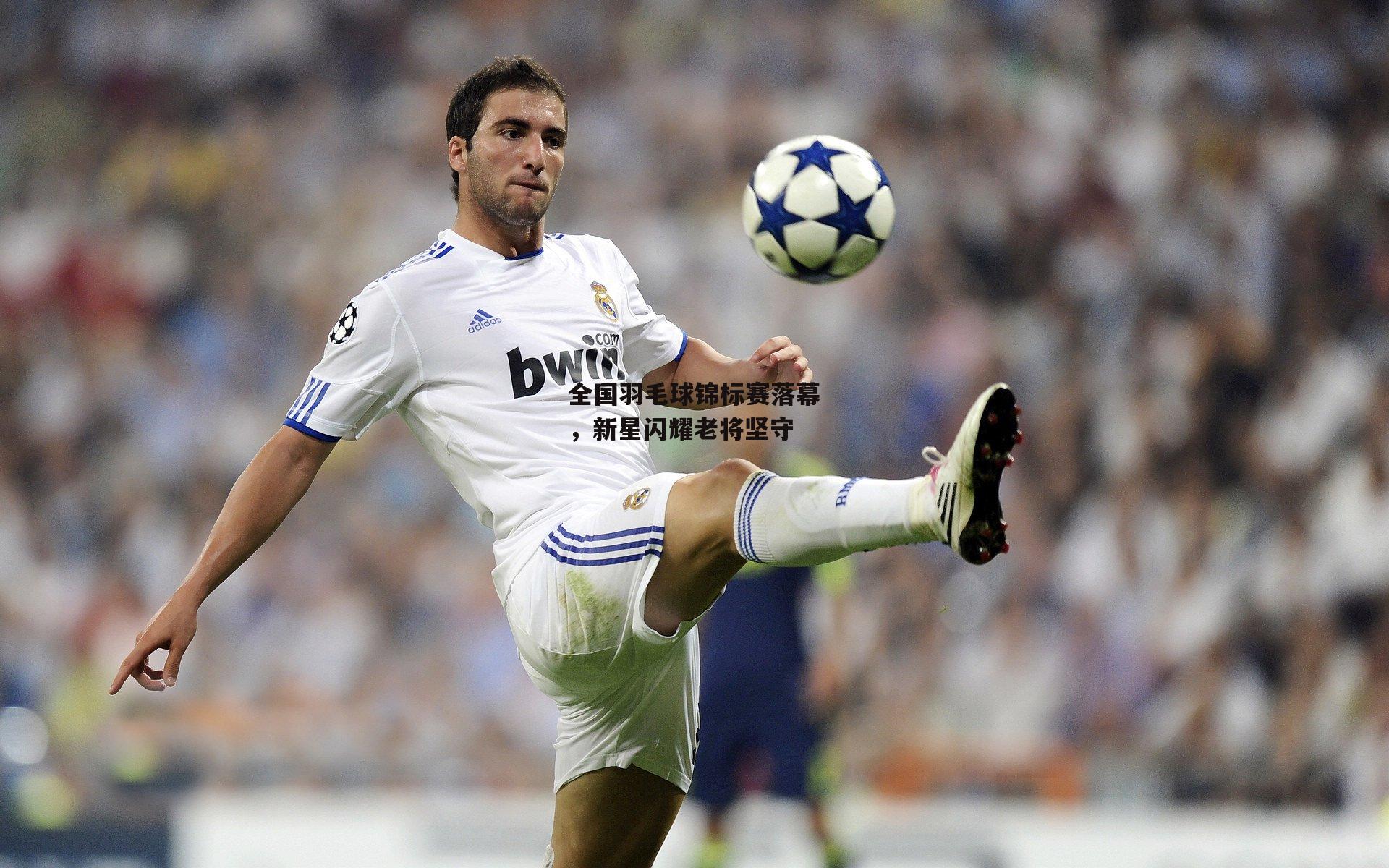 全国羽毛球锦标赛落幕，新星闪耀老将坚守